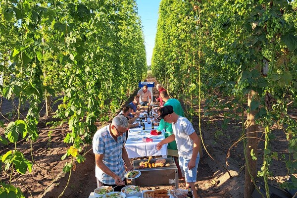 Rondleiding met bierproeverij en BBQ: Ontdek, proef en geniet van het Hopveld