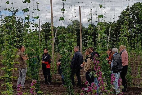 Basisrondleiding: Ontdek het Hopveld